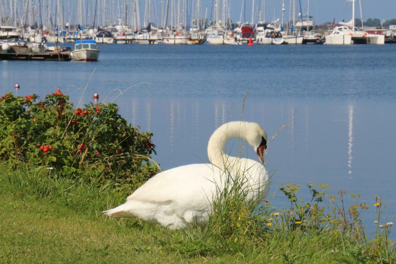 2Zi-Ferienwohnung Am Suedstrand Mit Eigenem Parkplatz Perfekt Fuer Familie Burgtiefe auf Fehmarn Esterno foto